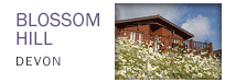 Blossom Hill - Devon