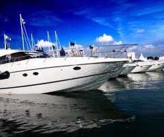 boats in the harbour